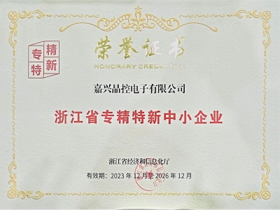 浙江省專(zhuān)精特新中小企業(yè)